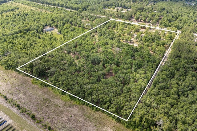 1827 SW Shiloh St, Fort White, FL 32038 - view of property location with a forest and property boundaries highlighted