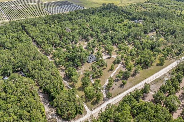 1827 SW Shiloh St, Fort White, FL 32038 - aerial view of a forest