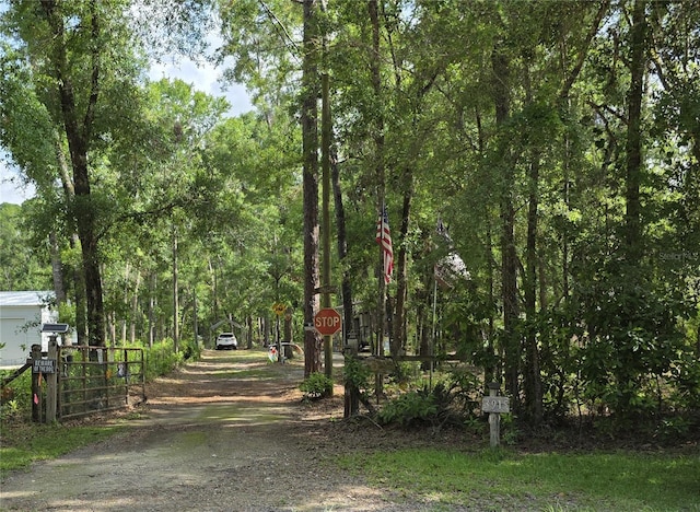 TBD 284th St, Branford, FL 32008