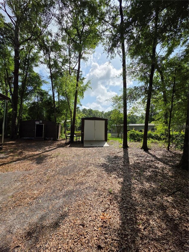 TBD 284th St, Branford, FL 32008