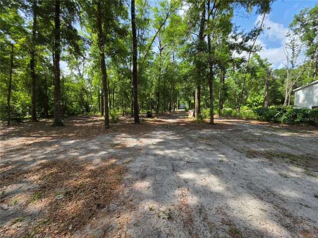 TBD 284th St, Branford, FL 32008