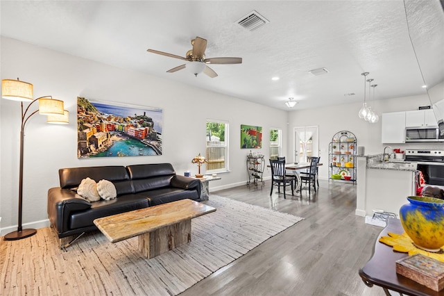 14214 NW 154th Pl, Alachua, FL 32615 - living room with baseboards, ceiling fan, wood finished floors, a textured ceiling, and recessed lighting