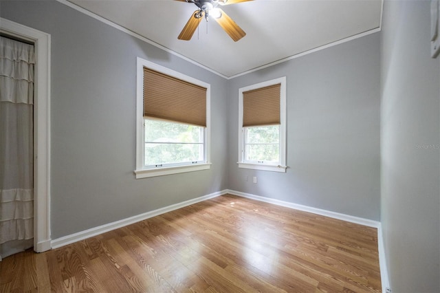 1404 NW 10th Ave, Gainesville, FL 32605 - empty room with ornamental molding, light wood-style floors, and a ceiling fan