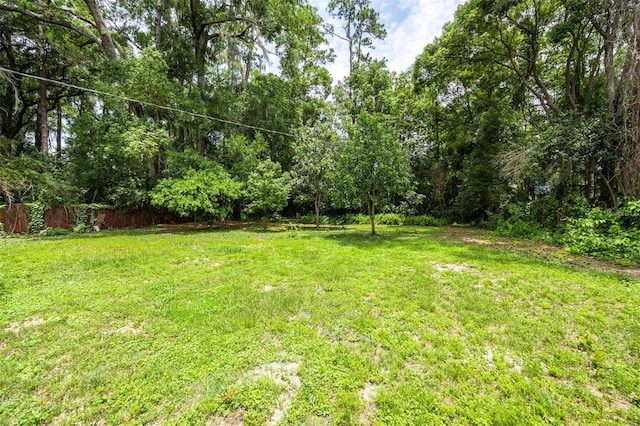 1404 NW 10th Ave, Gainesville, FL 32605 - view of yard