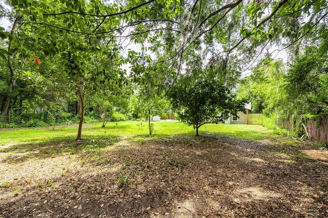 1404 NW 10th Ave, Gainesville, FL 32605 - view of yard