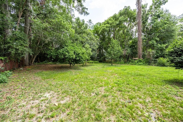 1404 NW 10th Ave, Gainesville, FL 32605 - view of grassy yard with a forest view