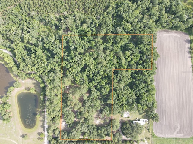 TBD NW 67th Blvd, Alachua, FL 32615 - photo 1