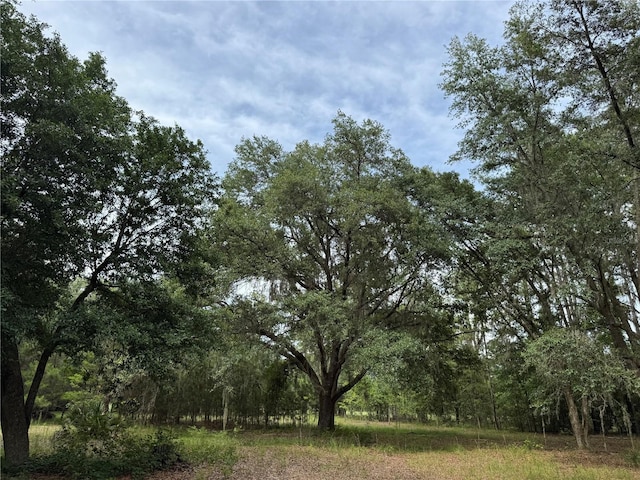 TBD NW 67th Blvd, Alachua, FL 32615 - photo 2