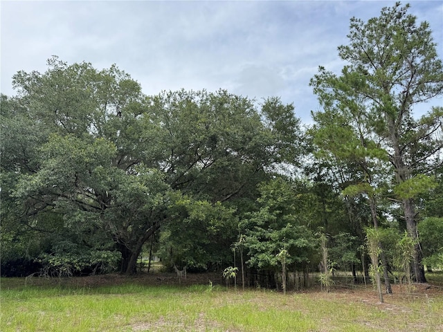 TBD NW 67th Blvd, Alachua, FL 32615 - photo 3