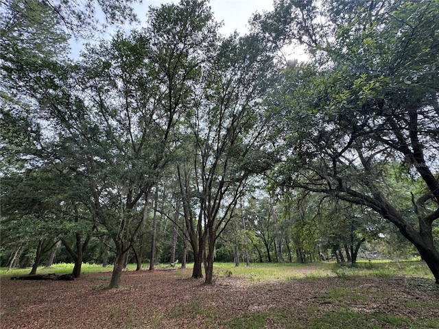 TBD NW 67th Blvd, Alachua, FL 32615 - photo 4
