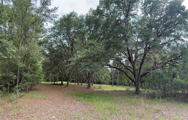 TBD NW 67th Blvd, Alachua, FL 32615 - photo 5