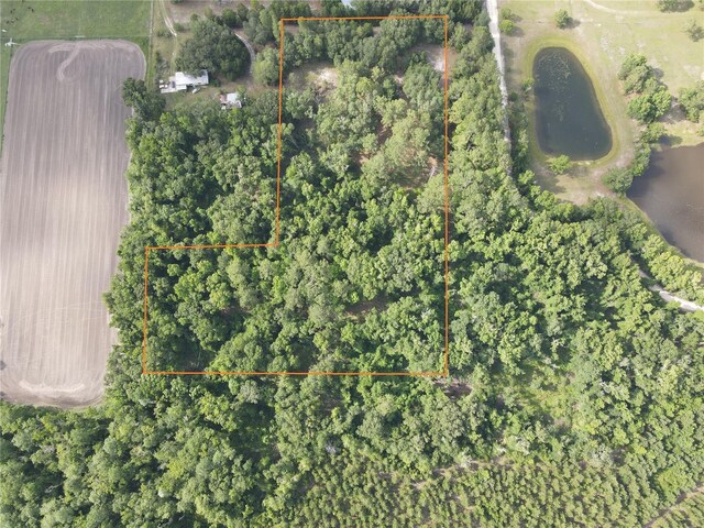 TBD NW 67th Blvd, Alachua, FL 32615 - photo 6