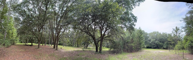 TBD NW 67th Blvd, Alachua, FL 32615 - photo 7