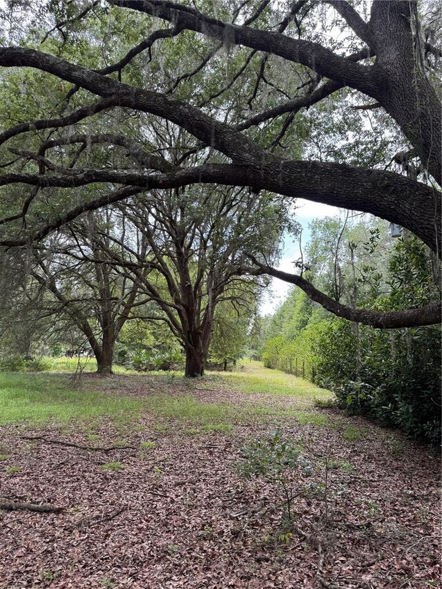 TBD NW 67th Blvd, Alachua, FL 32615 - photo 8