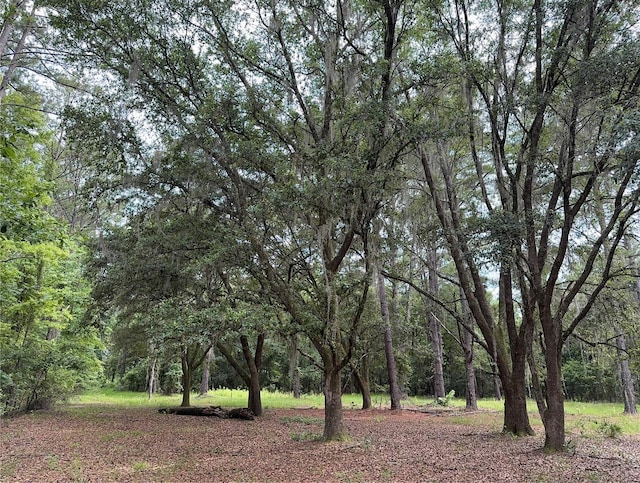 TBD NW 67th Blvd, Alachua, FL 32615 - photo 10
