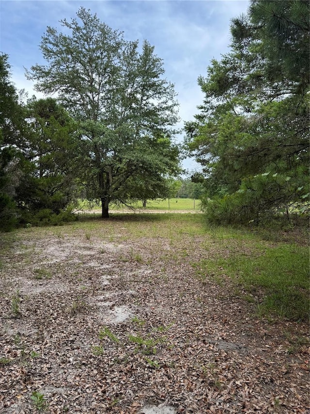 TBD NW 67th Blvd, Alachua, FL 32615 - photo 11