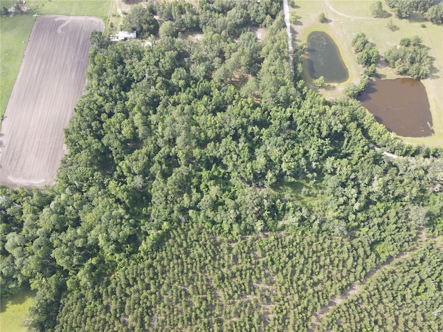 TBD NW 67th Blvd, Alachua, FL 32615 - photo 12