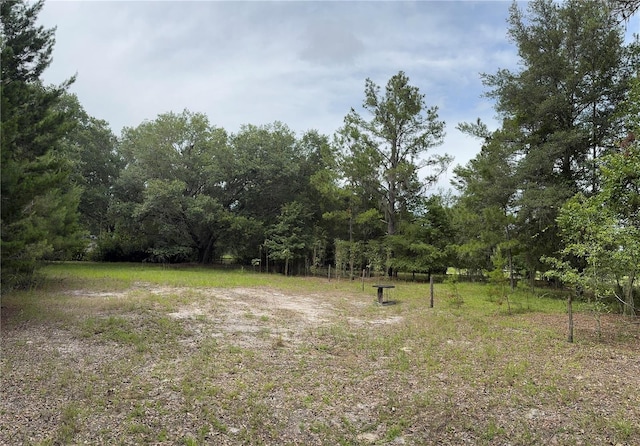 TBD NW 67th Blvd, Alachua, FL 32615 - photo 14