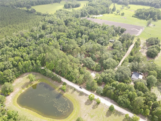 TBD NW 67th Blvd, Alachua, FL 32615 - photo 15