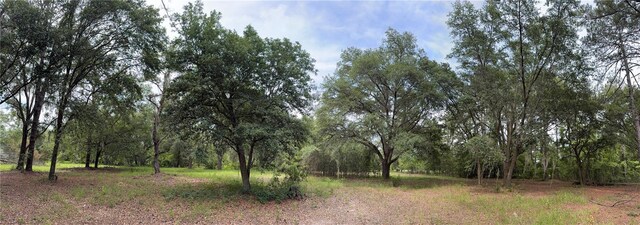 TBD NW 67th Blvd, Alachua, FL 32615 - photo 16