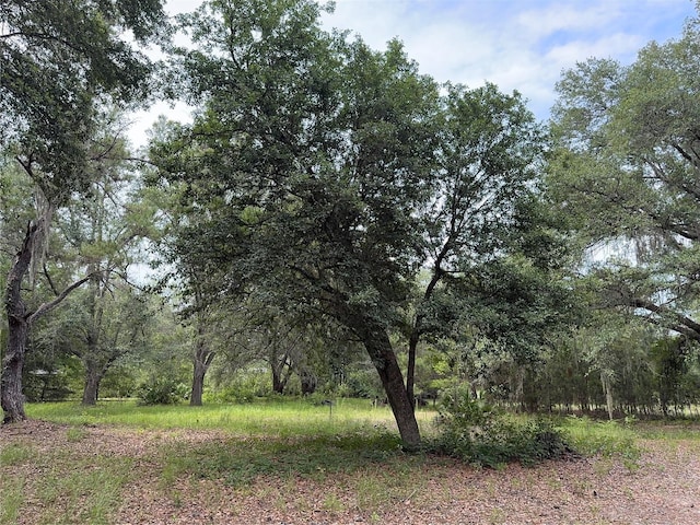 TBD NW 67th Blvd, Alachua, FL 32615 - photo 17