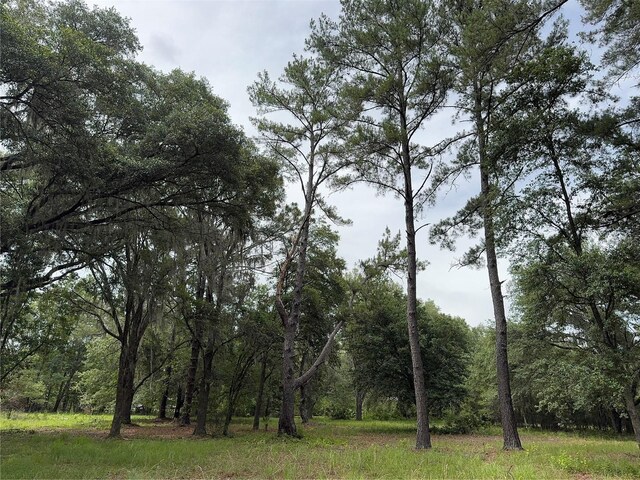 TBD NW 67th Blvd, Alachua, FL 32615 - photo 18