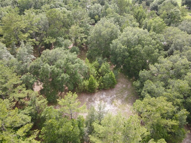 TBD NW 67th Blvd, Alachua, FL 32615 - photo 19