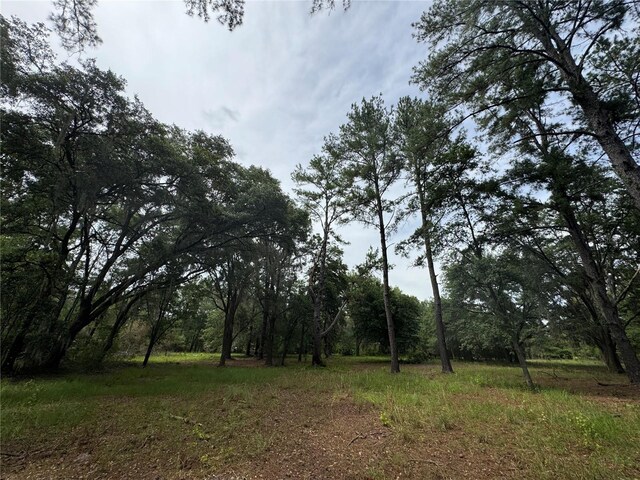 TBD NW 67th Blvd, Alachua, FL 32615 - photo 20