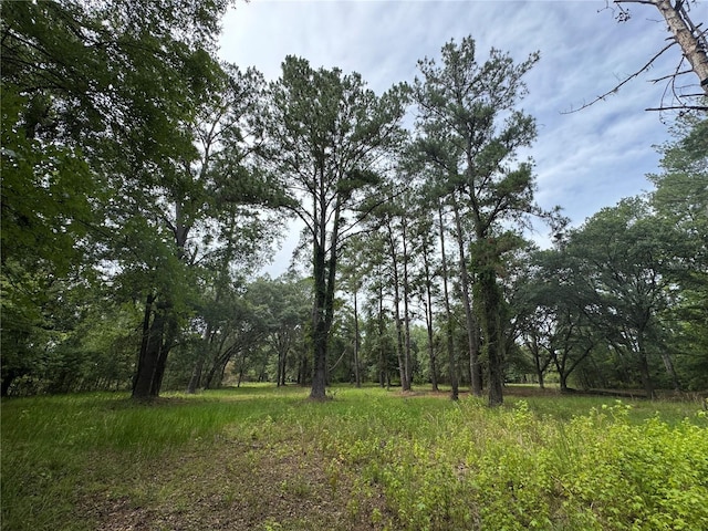 TBD NW 67th Blvd, Alachua, FL 32615 - photo 21