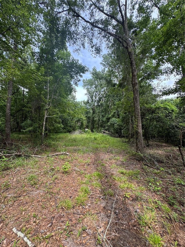 TBD NW 67th Blvd, Alachua, FL 32615 - photo 22