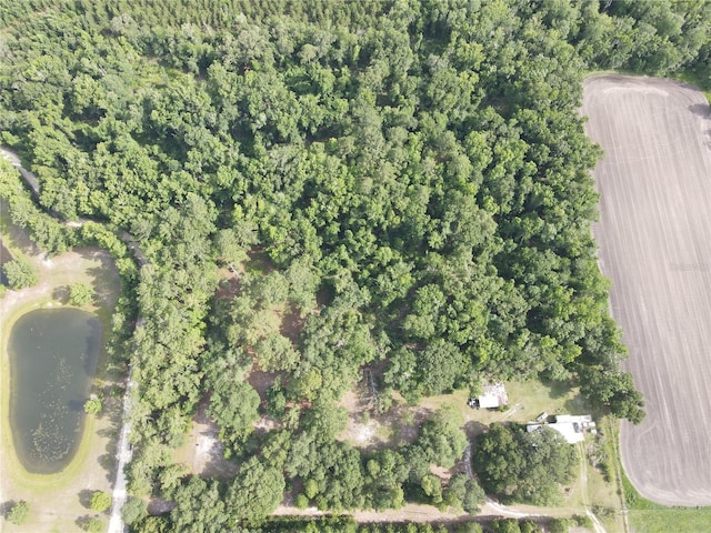 TBD NW 67th Blvd, Alachua, FL 32615 - photo 23