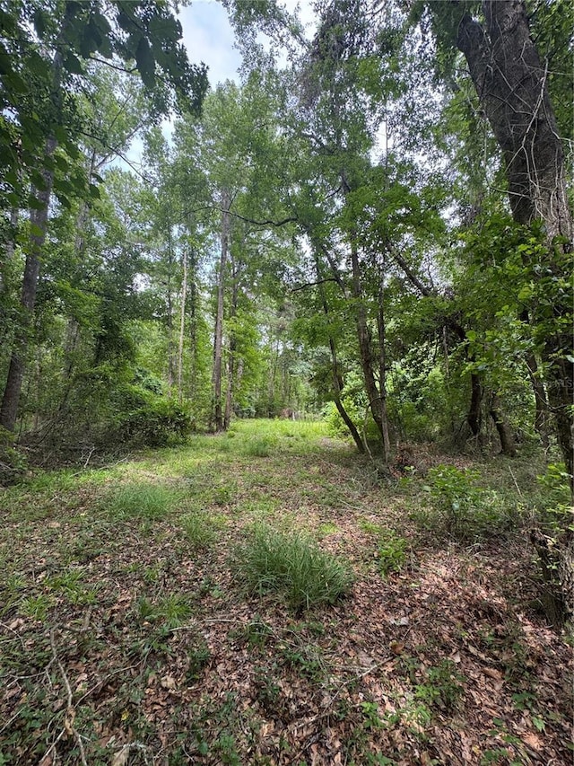 TBD NW 67th Blvd, Alachua, FL 32615 - photo 24