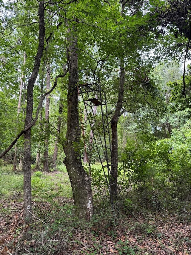 TBD NW 67th Blvd, Alachua, FL 32615 - photo 25