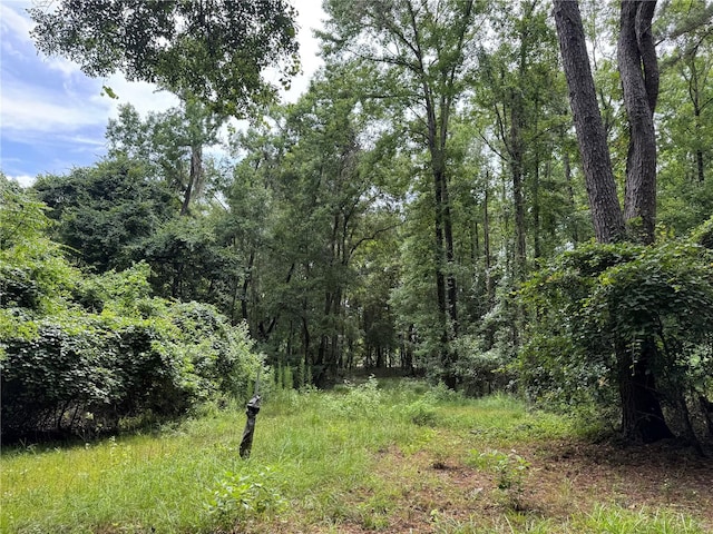 TBD NW 67th Blvd, Alachua, FL 32615 - photo 26