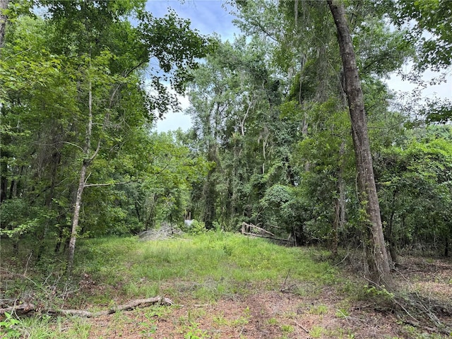 TBD NW 67th Blvd, Alachua, FL 32615 - photo 27