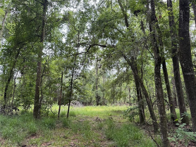TBD NW 67th Blvd, Alachua, FL 32615 - photo 28
