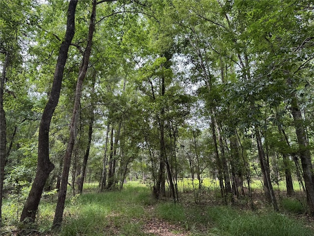 TBD NW 67th Blvd, Alachua, FL 32615 - photo 29