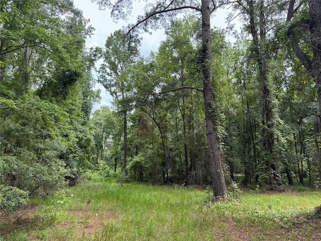 TBD NW 67th Blvd, Alachua, FL 32615 - photo 31