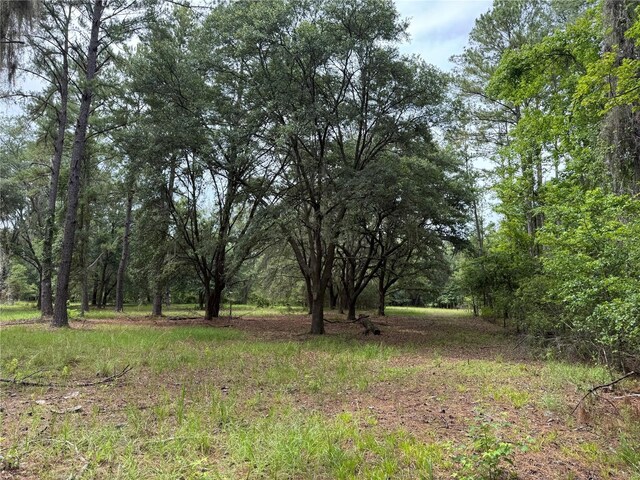 TBD NW 67th Blvd, Alachua, FL 32615 - photo 32