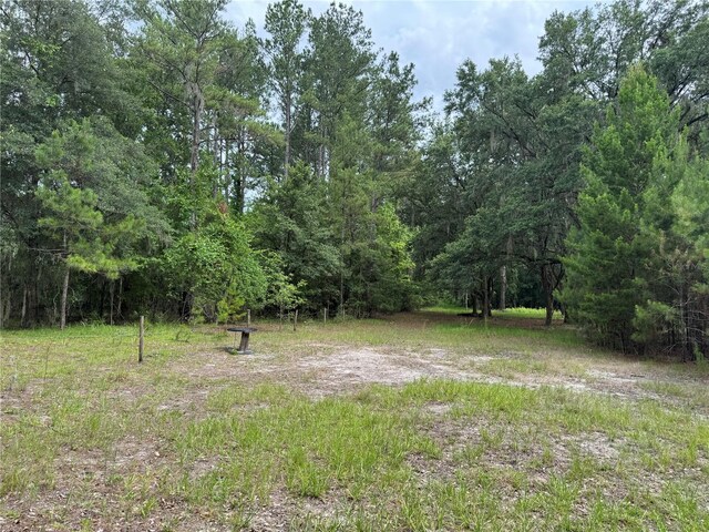 TBD NW 67th Blvd, Alachua, FL 32615 - photo 33