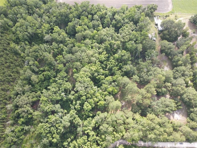 TBD NW 67th Blvd, Alachua, FL 32615 - photo 34