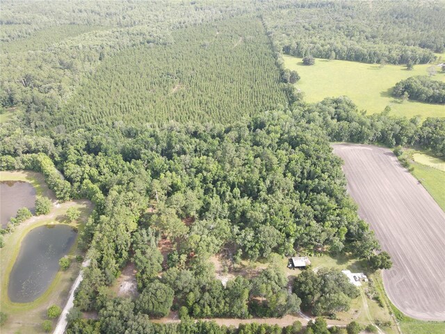 TBD NW 67th Blvd, Alachua, FL 32615 - photo 36