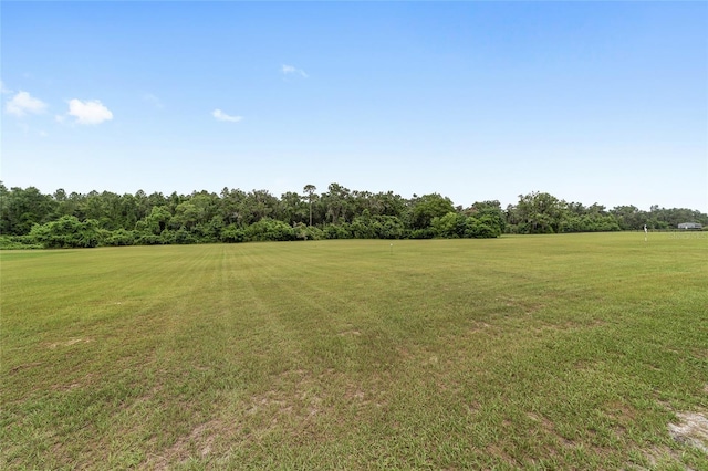 5604 SW 215th Ter, Newberry, FL 32669 - view of grassy yard