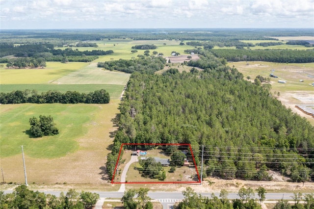 261 Ishie Ave, Bronson, FL 32621 - aerial view of sparsely populated area featuring property boundaries highlighted