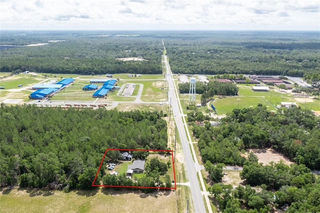 261 Ishie Ave, Bronson, FL 32621 - aerial overview of property's location with a forest and property boundaries highlighted