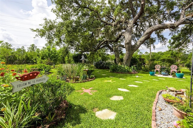 261 Ishie Ave, Bronson, FL 32621 - view of grassy yard