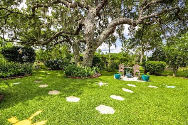 261 Ishie Ave, Bronson, FL 32621 - view of grassy yard