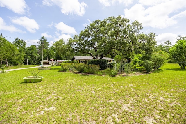261 Ishie Ave, Bronson, FL 32621 - view of green lawn with view of wooded area