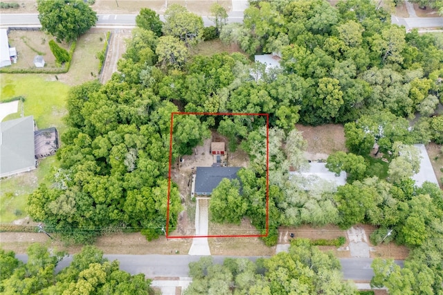 250 SW Garden St, Keystone Heights, FL 32656 - photo 9
