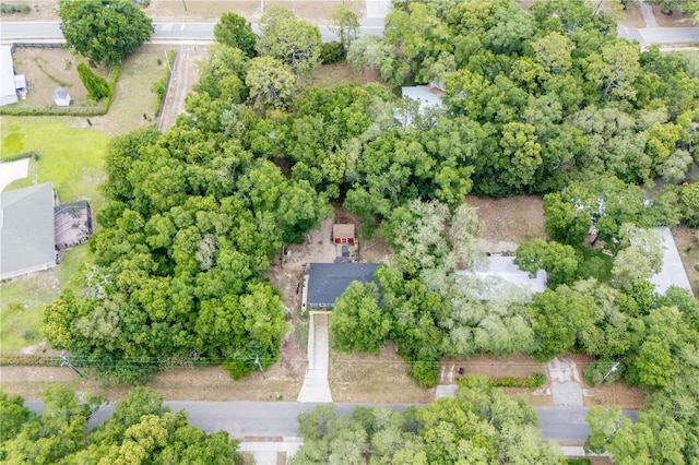 250 SW Garden St, Keystone Heights, FL 32656 - photo 10